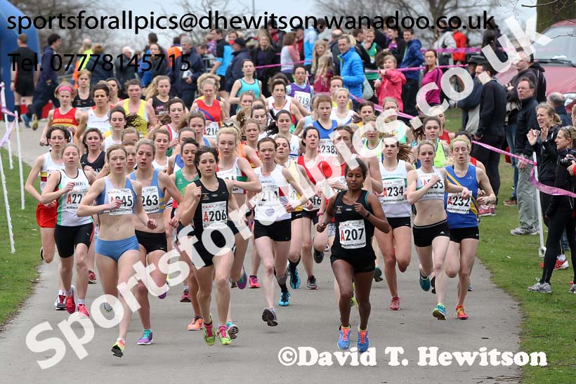 Start of the National 6 Stage Relay, National 12 and 6 Stage Relays, Sutton Park, Birmingham. Photo: David T. Hewitson/Sports for All Pics